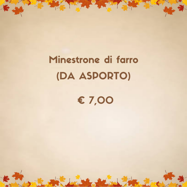 MINESTRONE DI FARRO (DA ASPORTO)